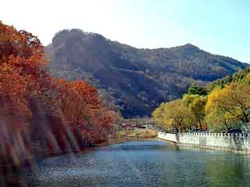 澳门红姐论坛精准两码300期，丰田花冠召回